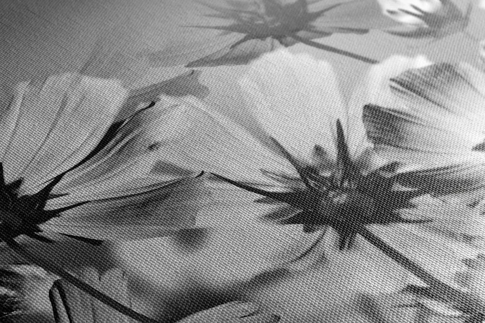 Tablou flori de grădină în design alb-negru