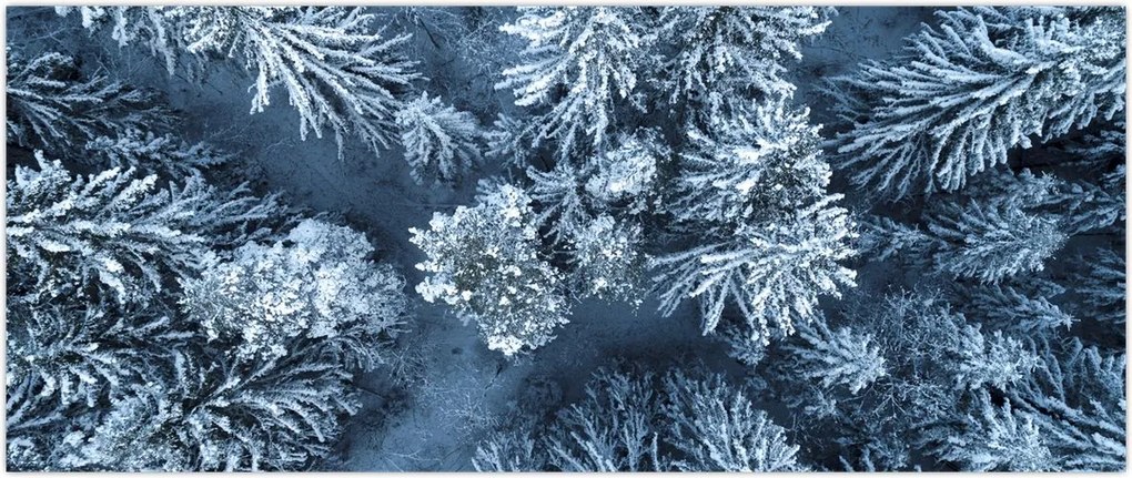 Tablou - Pădure înzăpezită (120x50 cm)