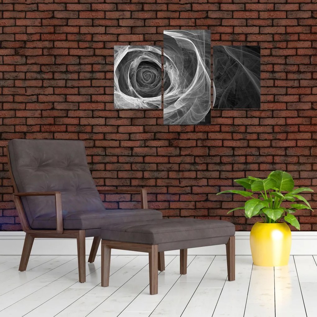 Tablou - Abstract trandafir negru și alb (90x60 cm)