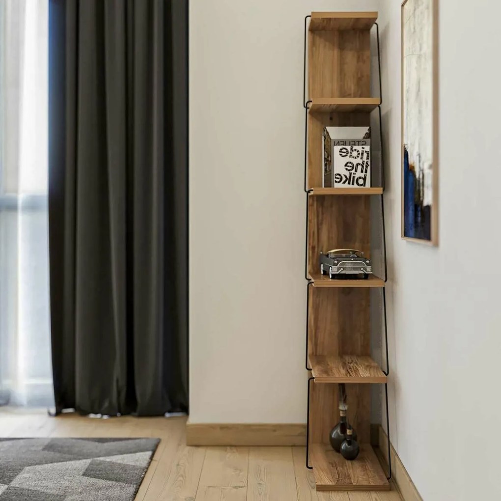 Bibliotecă Tlos Pine
