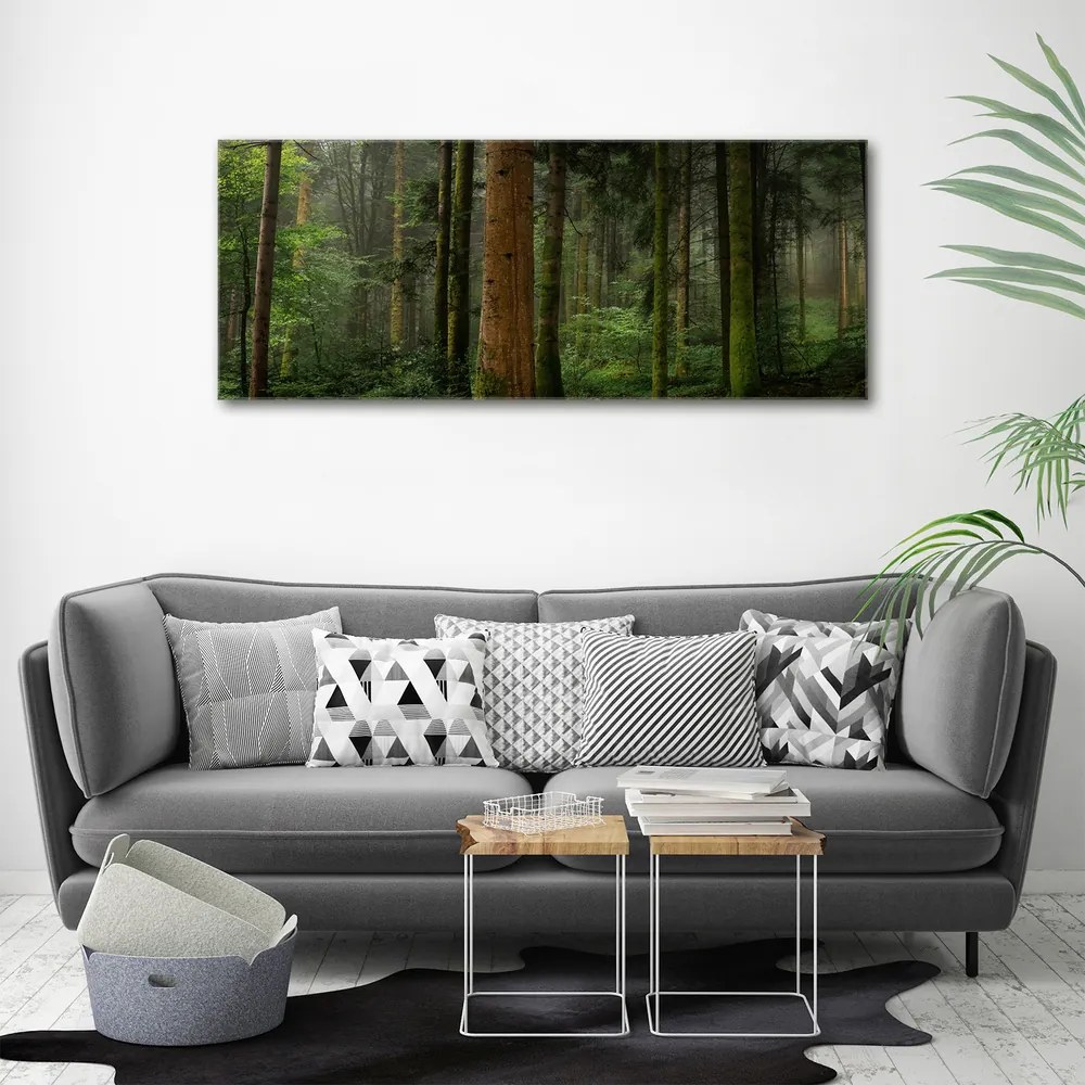 Tablou canvas Ceață în pădure