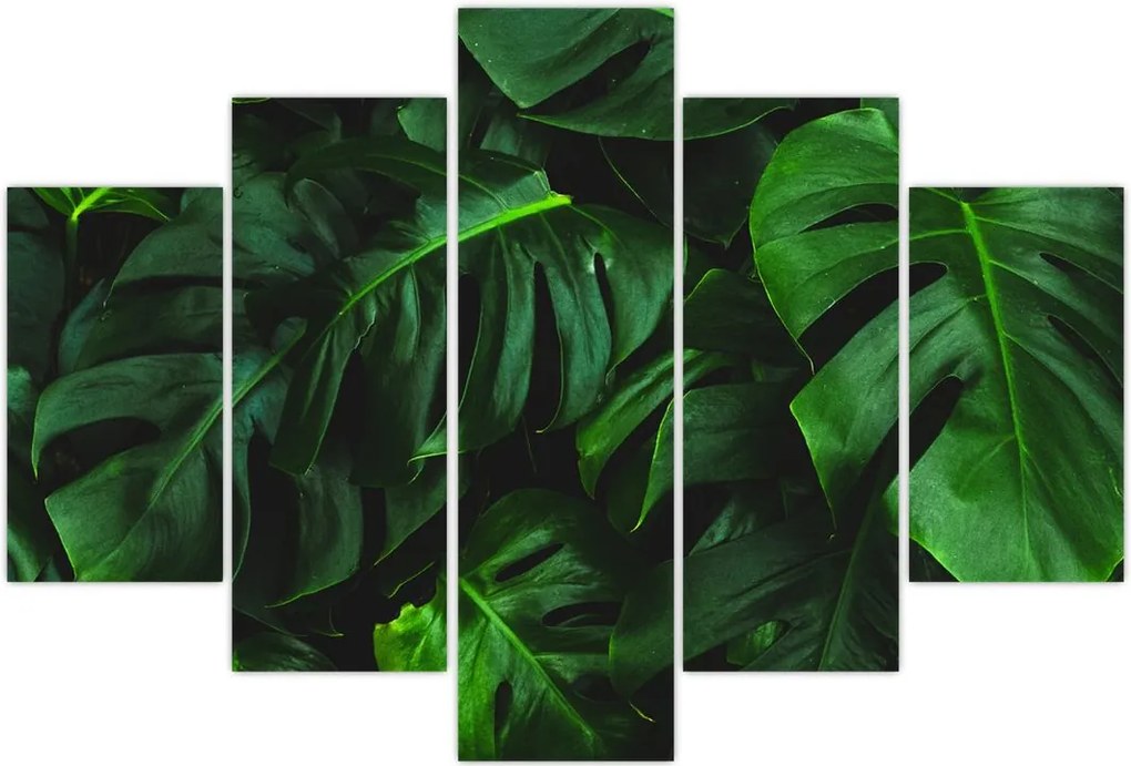 Tablou cu frunze Monstery (150x105 cm)