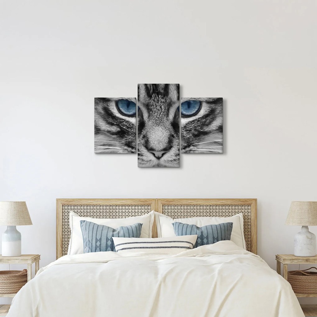Tablou cu pisica (90x60 cm)