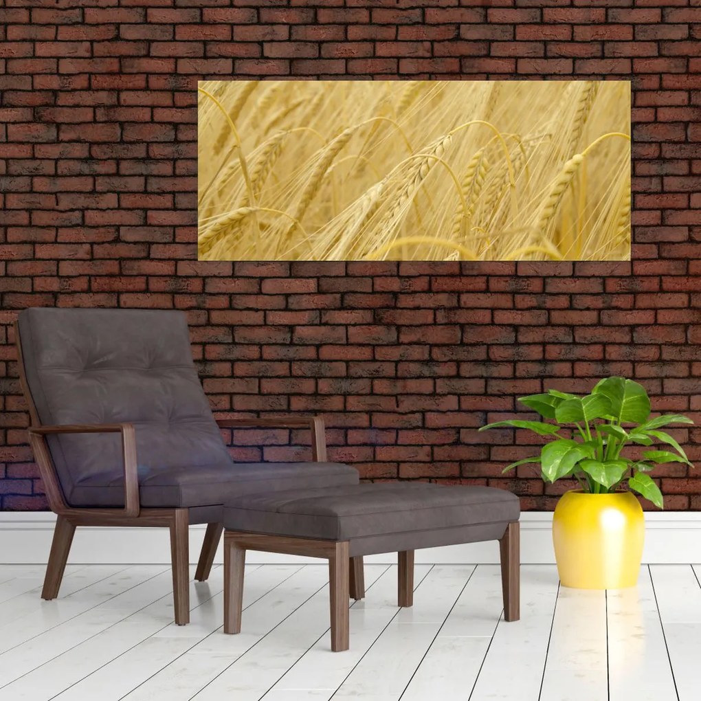 Tablou - Orz (120x50 cm)