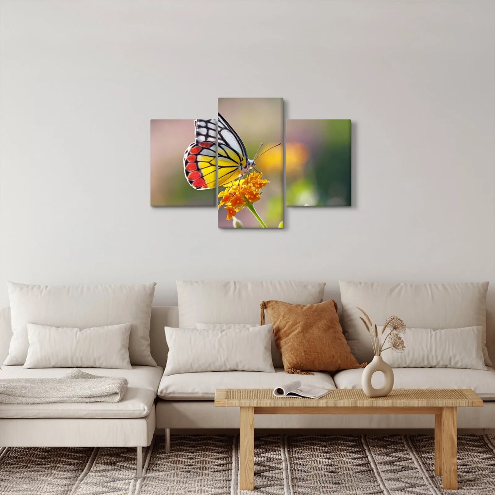 Tablou - Fluture pe floare (90x60 cm)