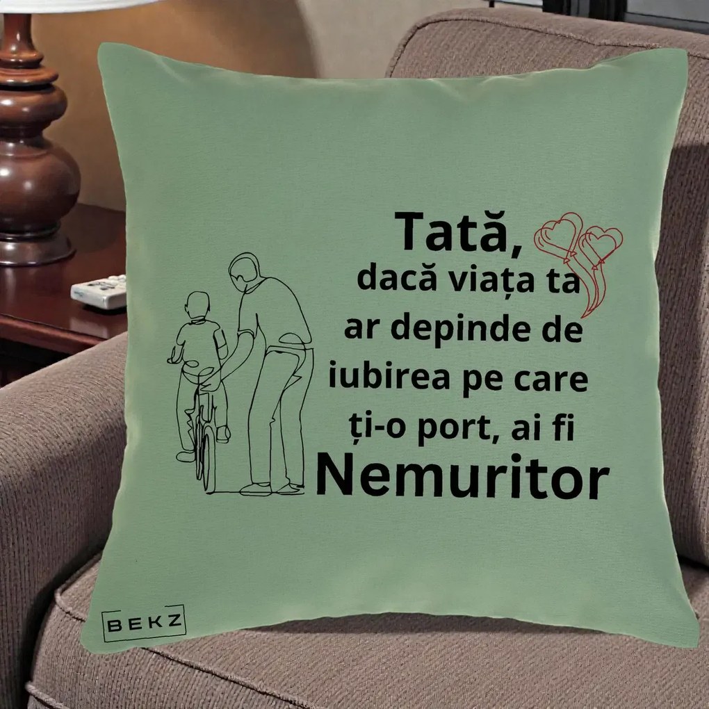 Cadou pentru Tata - Perna Personalizata Tata Nemuritor Bicicleta, 40x40 cm, Verde, Husa Detasabila, Perna Inclusa, BEKZ®