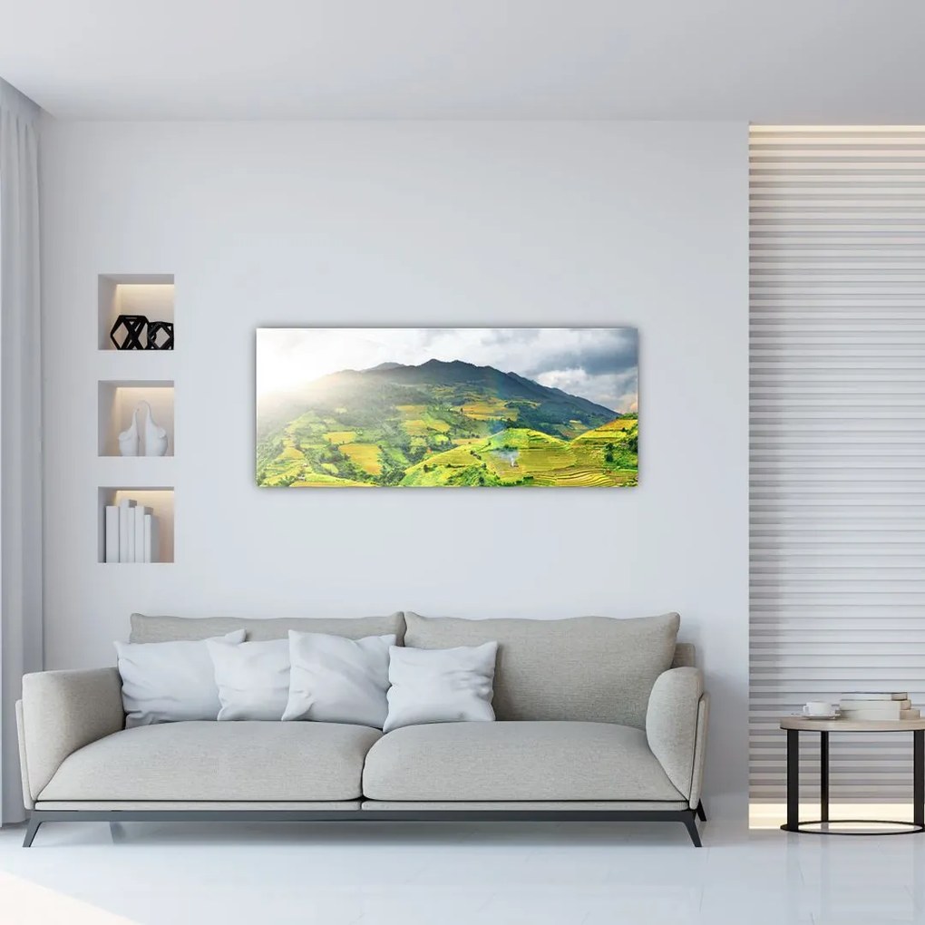 Tablou plantație (120x50 cm)