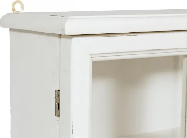 Vitrina suspendata, L48 17 H57 cm