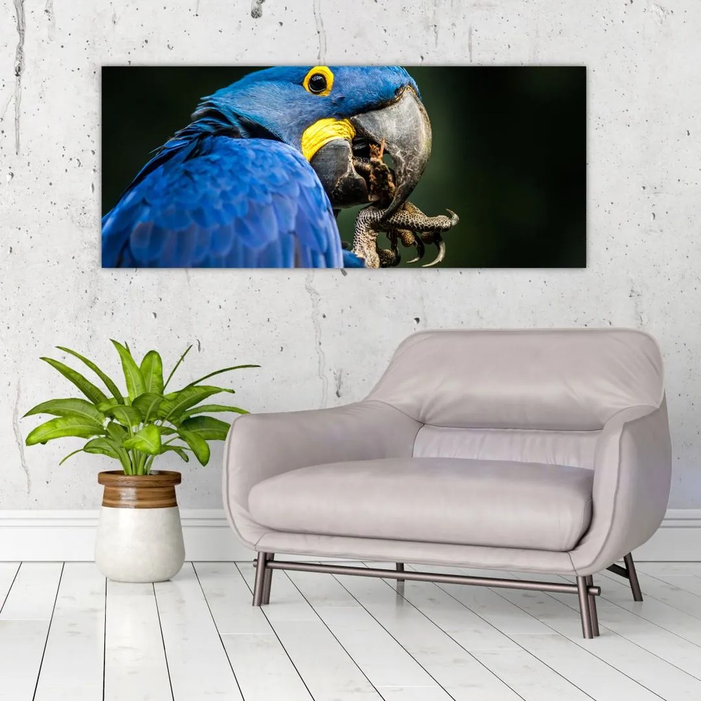Tablou cu papagal (120x50 cm)