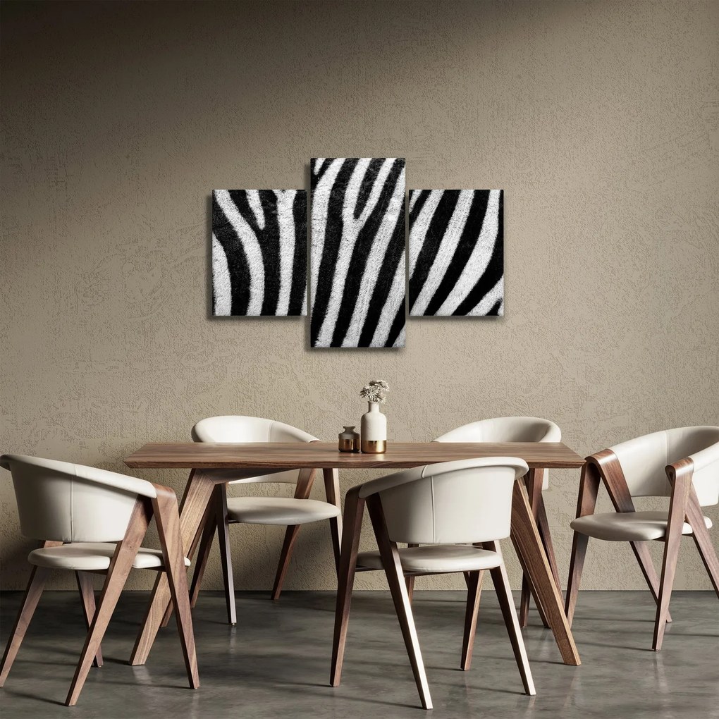 Tablou cu piele de zebră (90x60 cm)