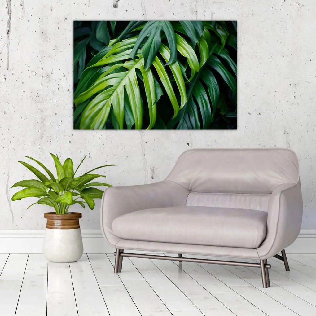 Tablou - Frunze tropicale (90x60 cm)