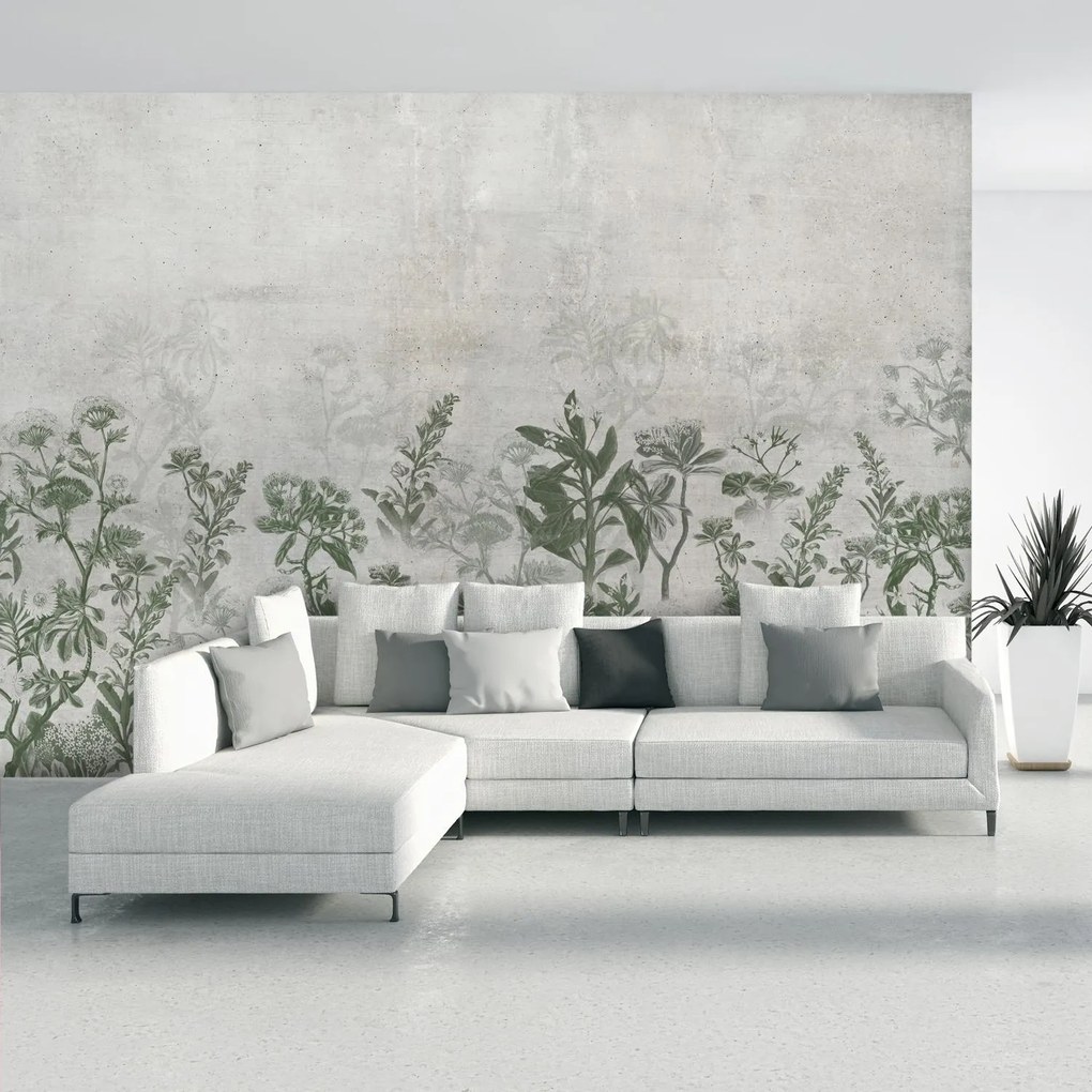 Fototapet - Plante în beton (147x102 cm)