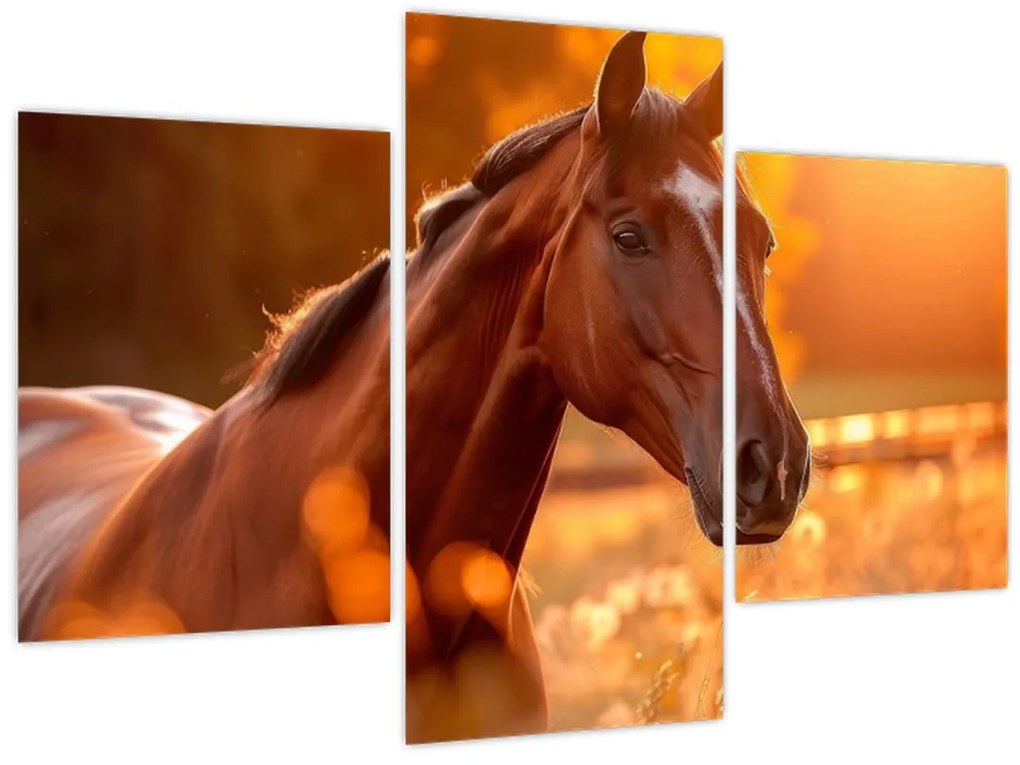 Tablou - Cal în apus de soare (90x60 cm)