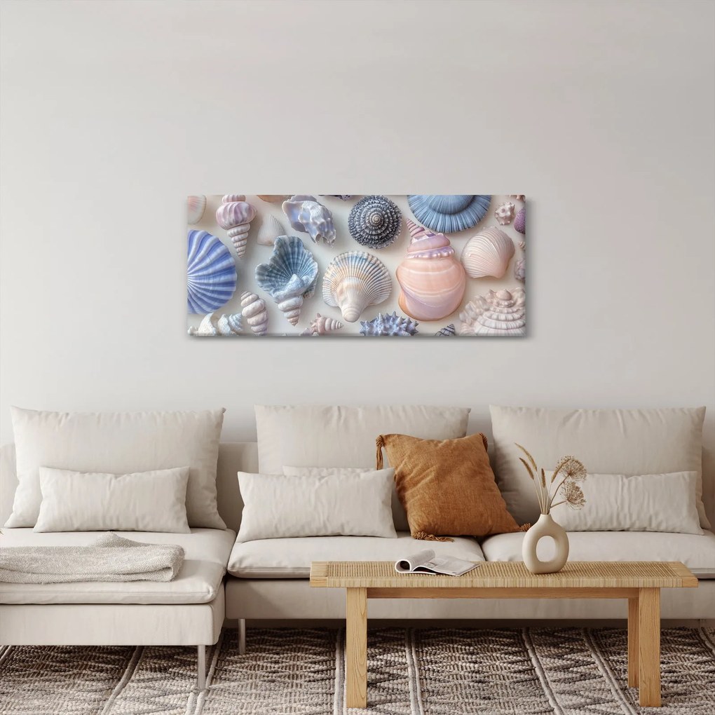 Tablou - Colecție de scoici (120x50 cm)