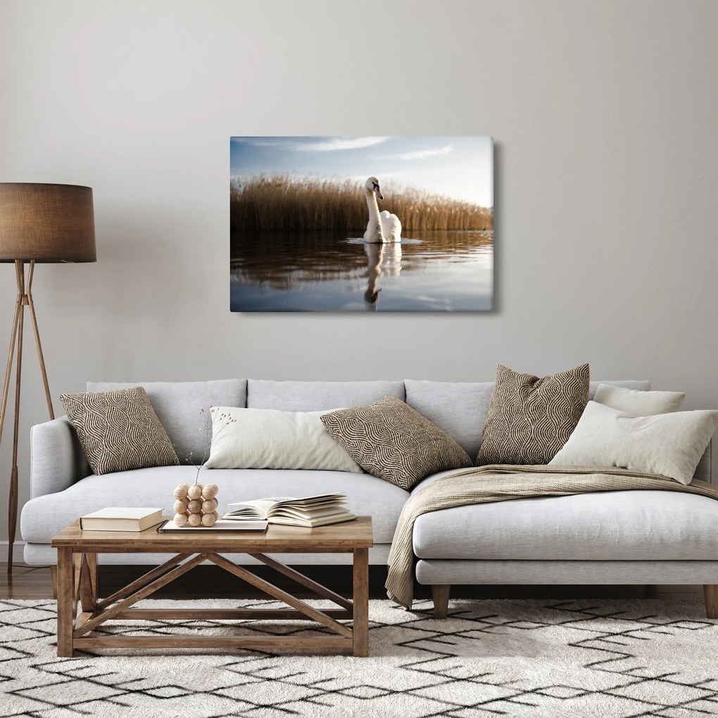 Tablou cu lebăda (90x60 cm)