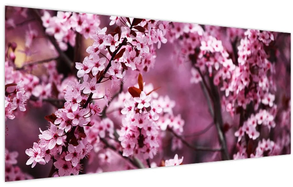 Tablou - Sakura roz (120x50 cm)