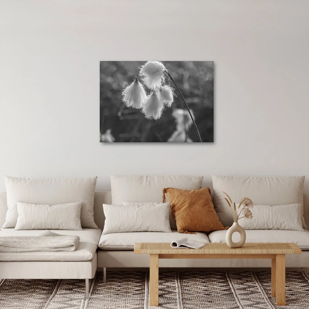 Tablou - Iarba de bumbac (70x50 cm)
