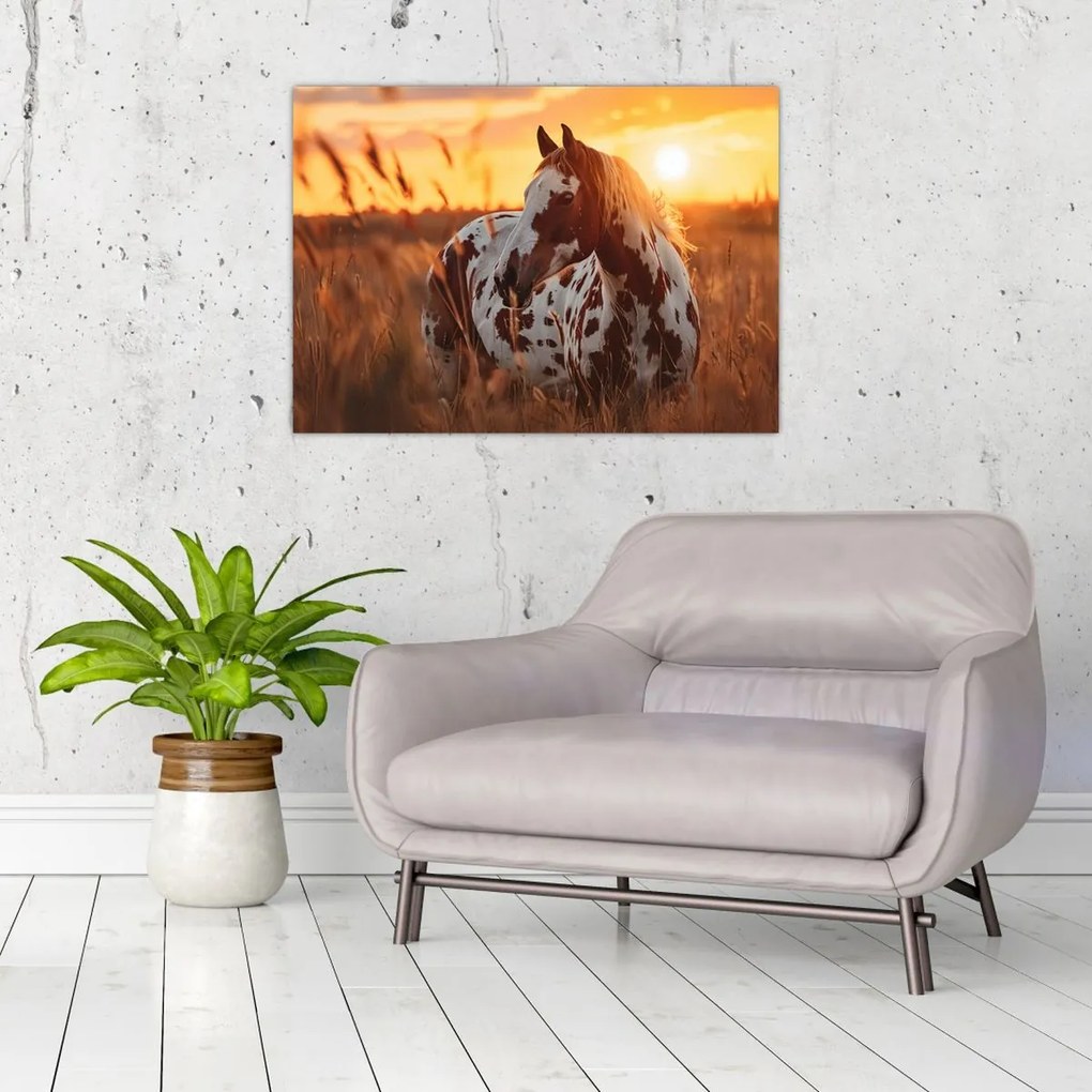 Tablou - Cal la Apus (70x50 cm)