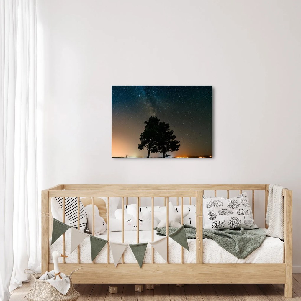 Tablou cu cerul nocturn și copaci (70x50 cm)