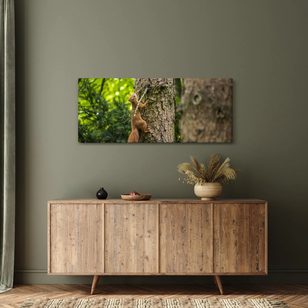 Tablou - Veverița (120x50 cm)