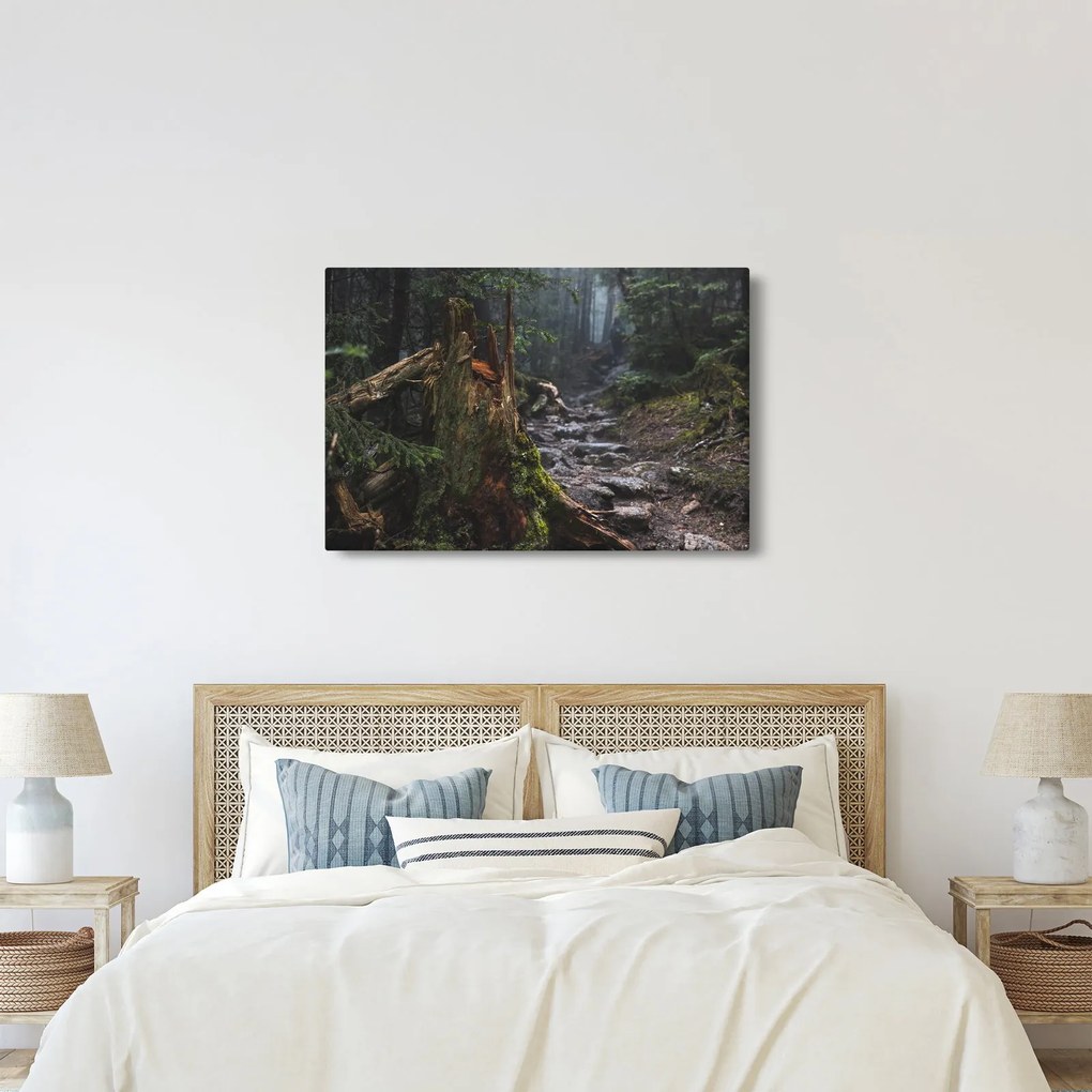 Tablou - În pădure (90x60 cm)