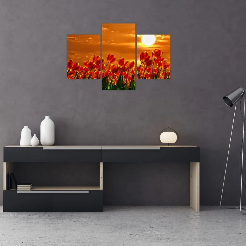 Tablou - lan înflorit de lalele (90x60 cm)