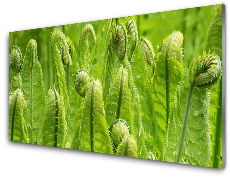 Tablouri acrilice Plante Floral Verde