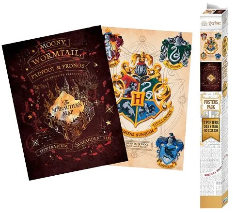 set 2 postere Harry Potter