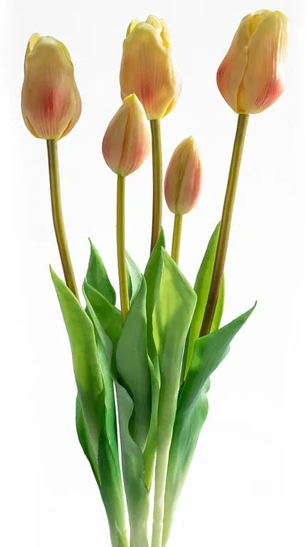 Buchet LALELE galben deschis, 46 cm, 5 buc