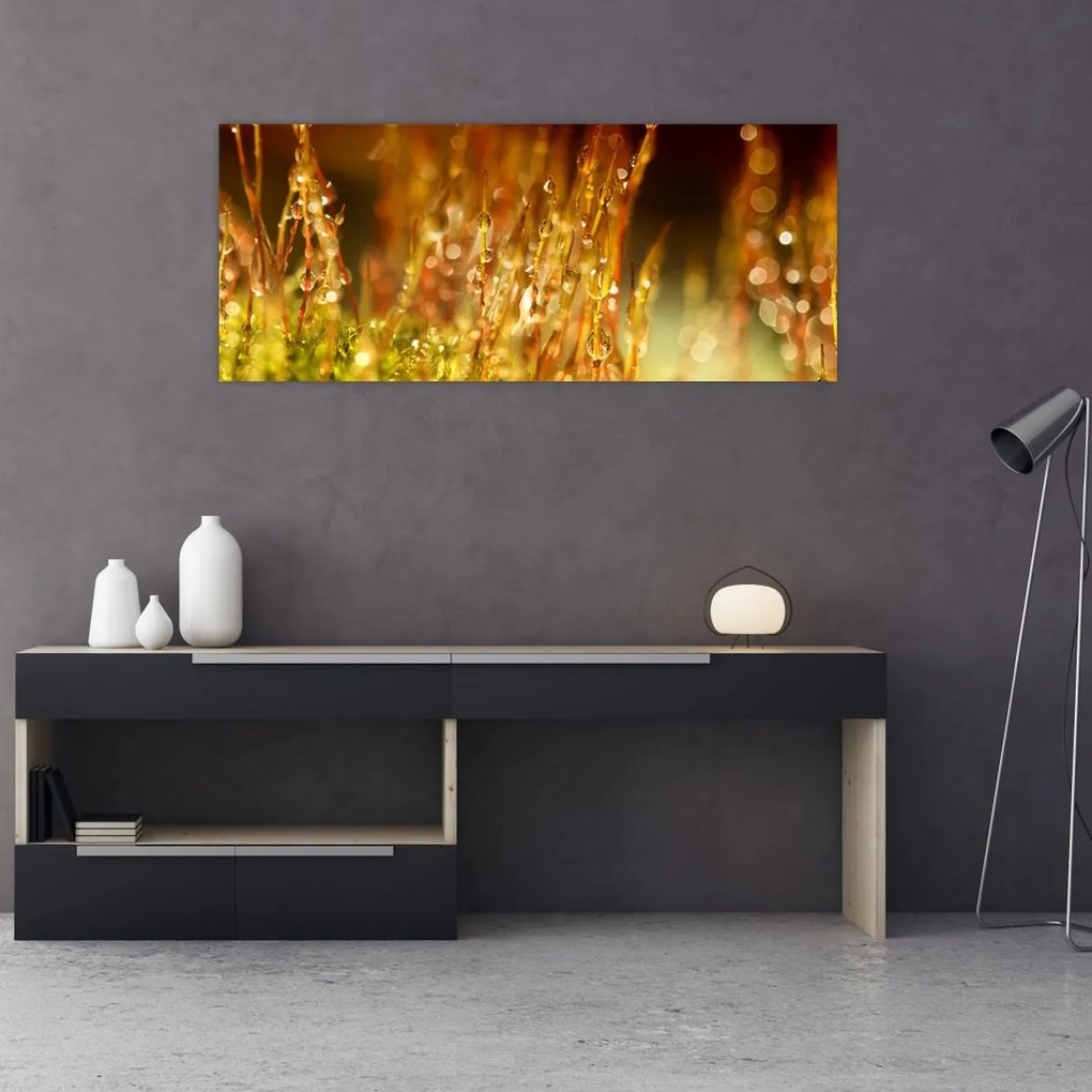 Tablou - Detaliu rouă (120x50 cm)