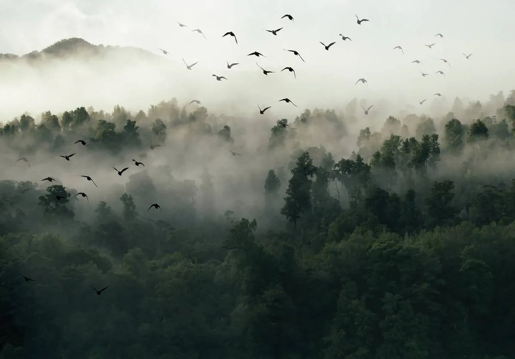 Fototapet - Păsări, pădure și ceață (152,5x104 cm)