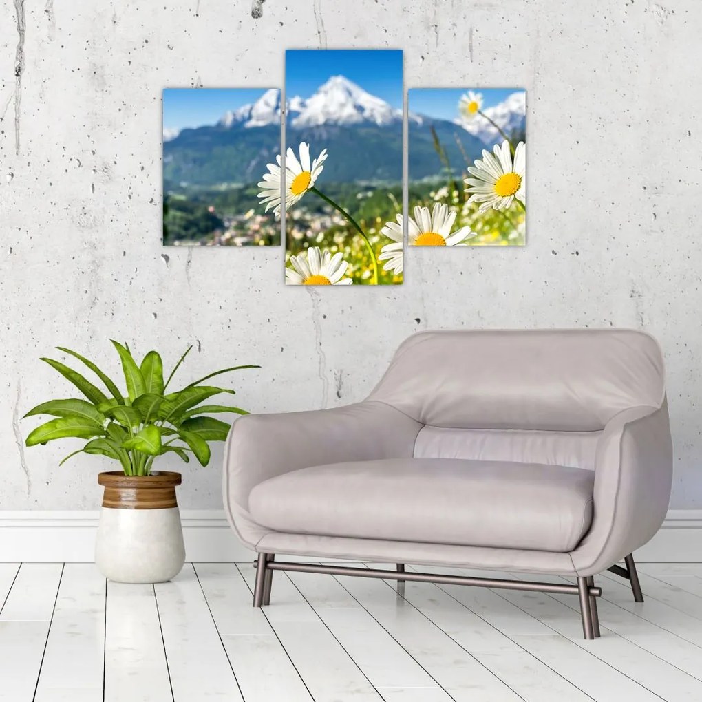 Tablou - Primăvara în Alpi (90x60 cm)