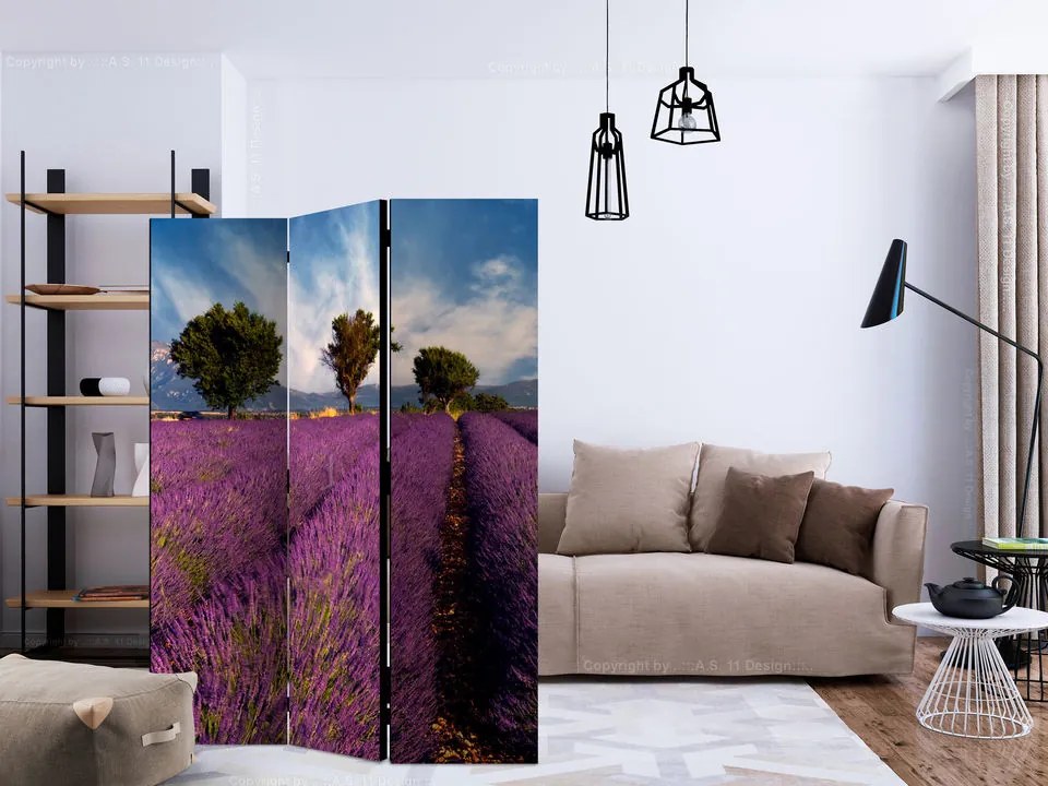 Paravan - Lavender field in Provence, France [Room Dividers]