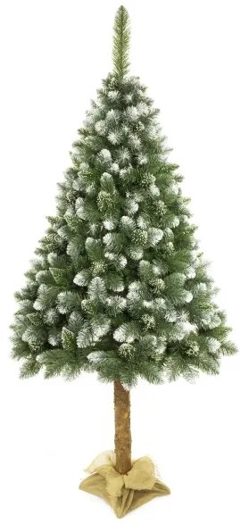 Pom de Crăciun pe trunchi 180 cm pin