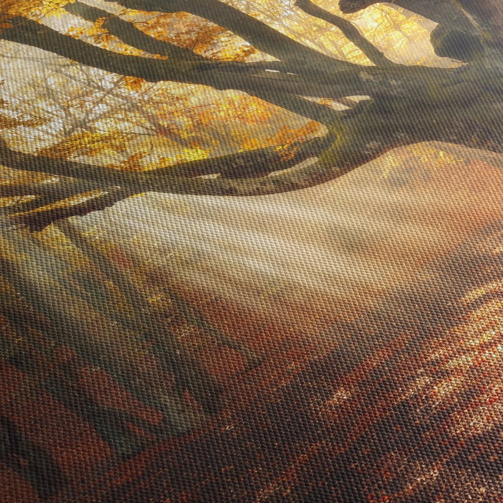 Tablou - Lumina de toamnă (120x50 cm)
