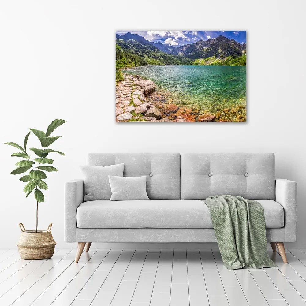 Print pe pânză Marine ochi tatry
