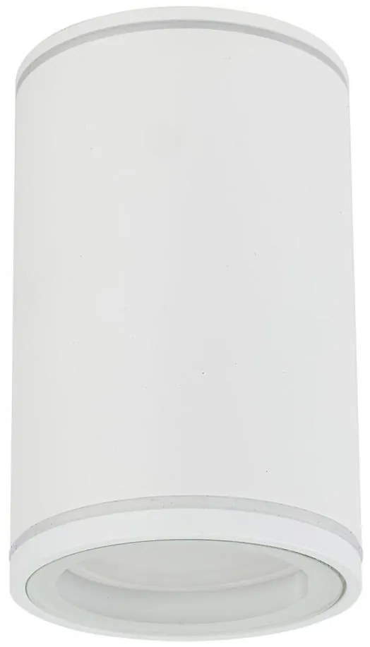 Spot FLARE 1xGU10/10W/230V 10 cm alb