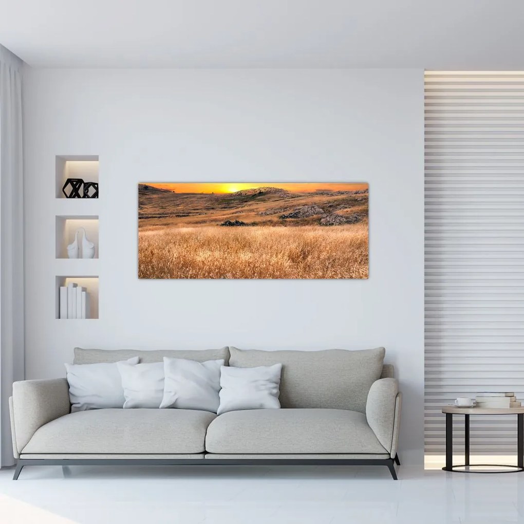 Tablou cu câmp (120x50 cm)