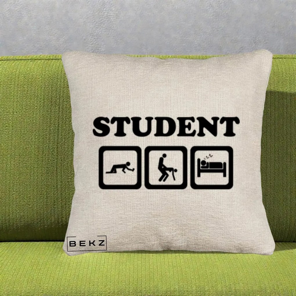 Perna Decorativa Student Life, 40x40 cm, Bej Canapea, Husa Detasabila, Perna Inclusa, BEKZ®