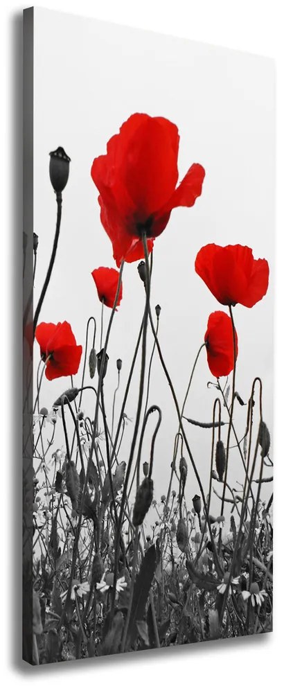 Print pe canvas Wildflowers maci