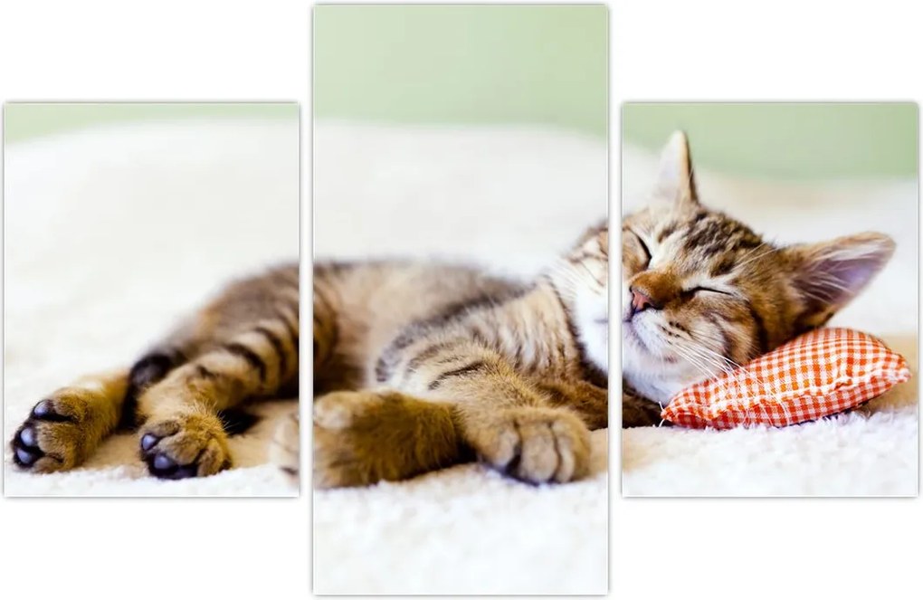 Tablou - Pisicuța adormită (90x60 cm)