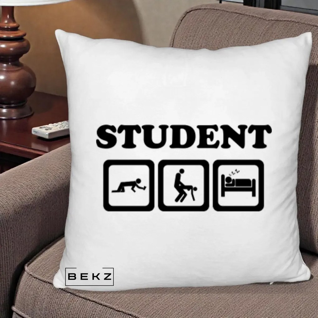 Perna Decorativa Student Life, 40x40 cm, Alb Pufos, Husa Detasabila, Perna Inclusa, BEKZ®
