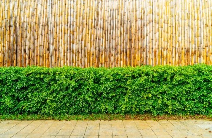 Paravn din bambus 150x300cm 12mm