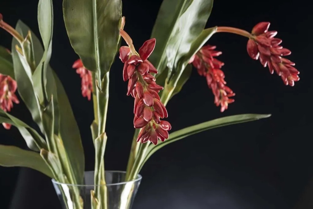 Aranjament floral elegant ETERNITY BOWL CLASSIC WEEPING 1141796.30