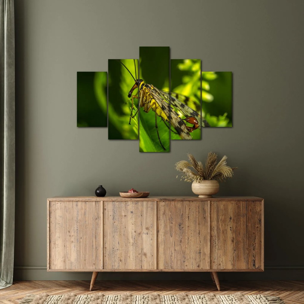 Tablou cu omide (150x105 cm)