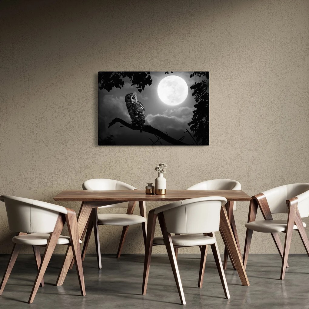 Tablou - Bufniță de noapte, alb și negru (90x60 cm)