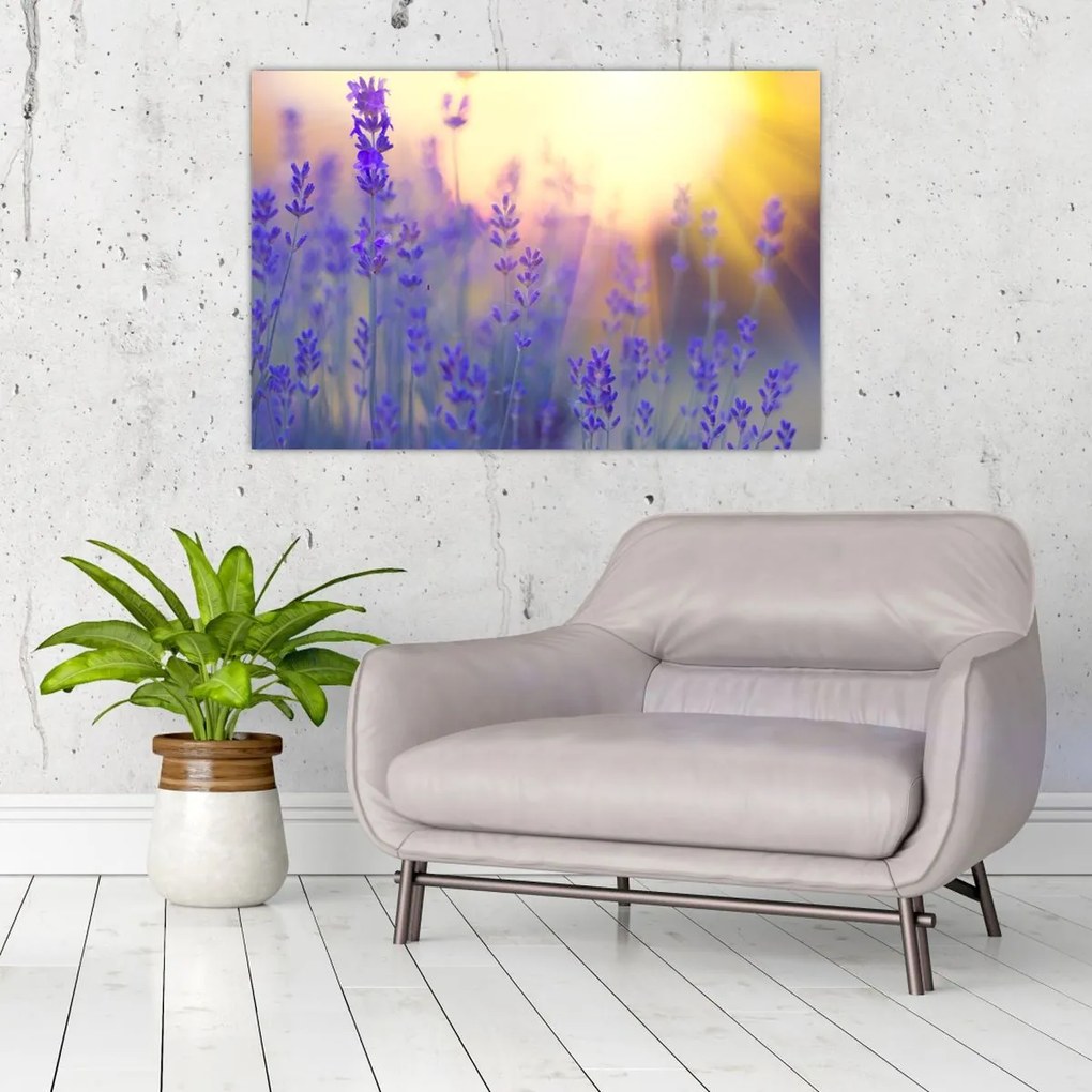 Tablou - Levănțică (90x60 cm)