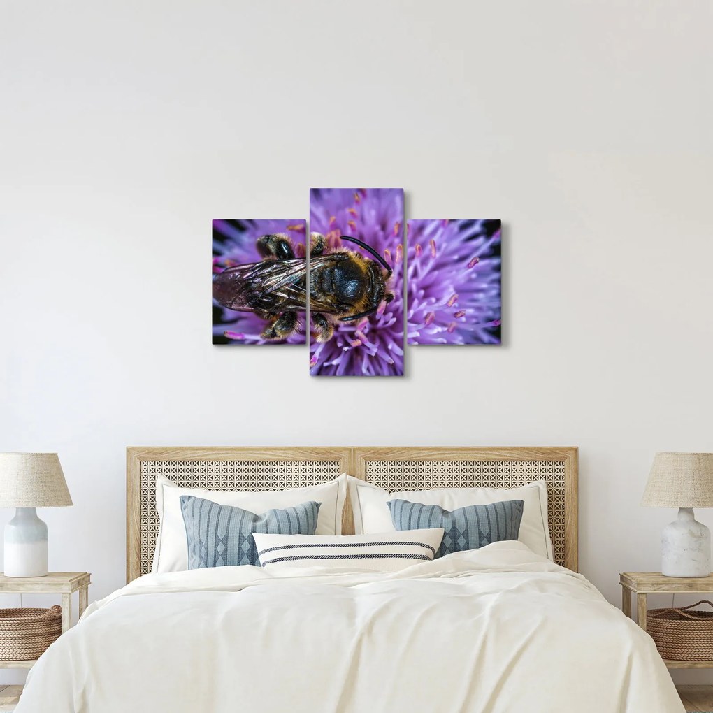 Tablou cu albina pe floare (90x60 cm)