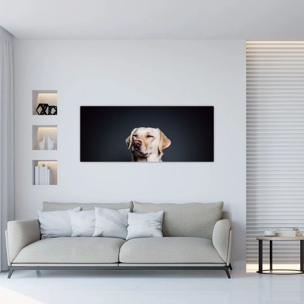 Tablou cu labrador (120x50 cm)