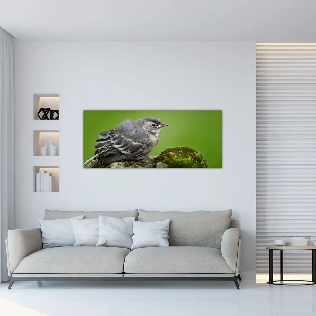 Tablou - Muscarul (120x50 cm)